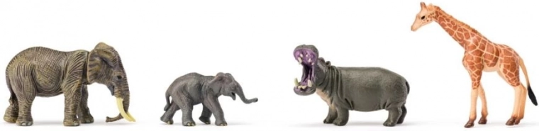 Safari extensibil cu specii mici și mari