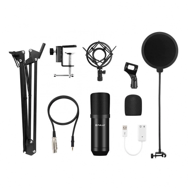 Microfon studio Puluz