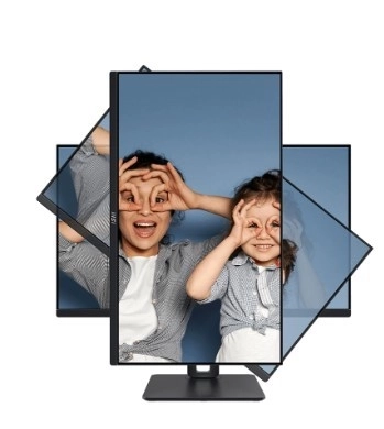 Monitor Pro 24,5 inch LED FHD Flat 100Hz Negru