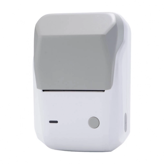 Imprimantă termică mobilă etichete Niimbot B1 gri