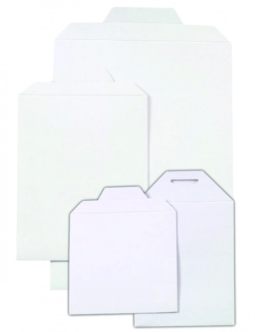 Plic din carton rezistent
