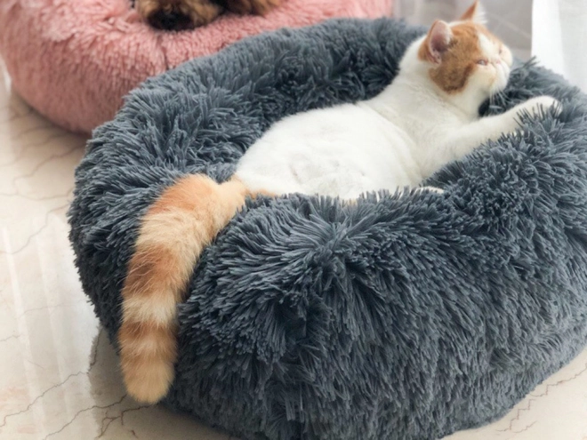 Pisică pufoasă pat moale canapea pernă 80 cm – gri închis