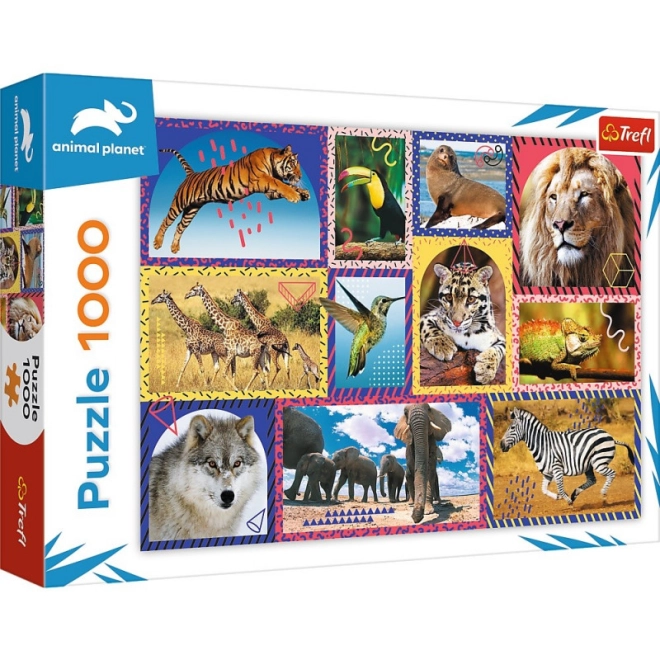 Colaj colorat cu animale sălbatice