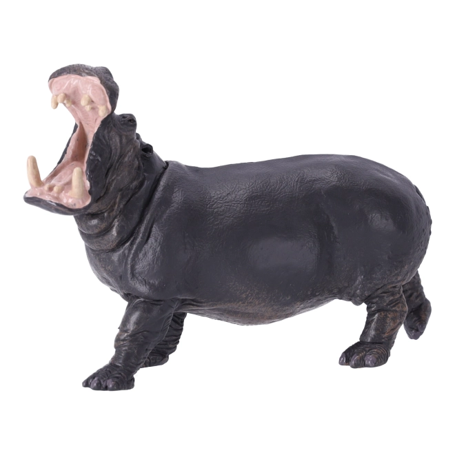 Educație și colecționare