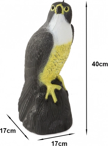 Aspect realist și dimensiuni naturale
