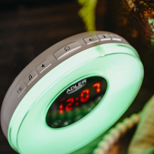 Sunete ale naturii și radio FM