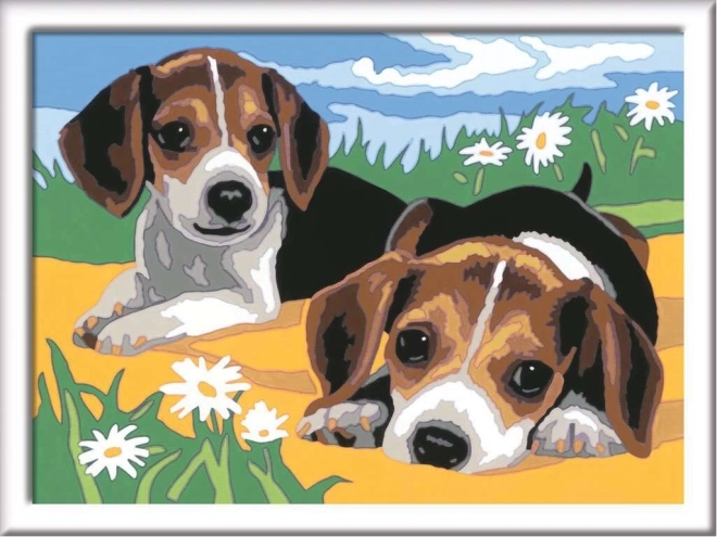 Set de pictură Jack Russell Terrier CreArt