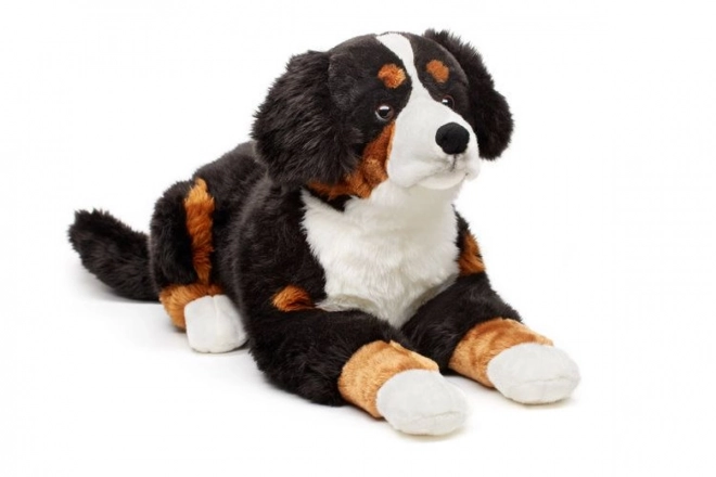 Jucărie din pluș câine Bernese Muntean 65 cm