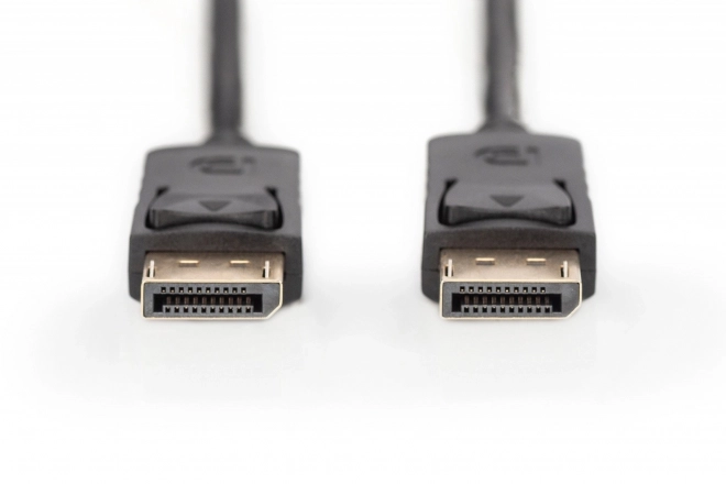 Cablu DisplayPort cu Zăvoare 10m Negru