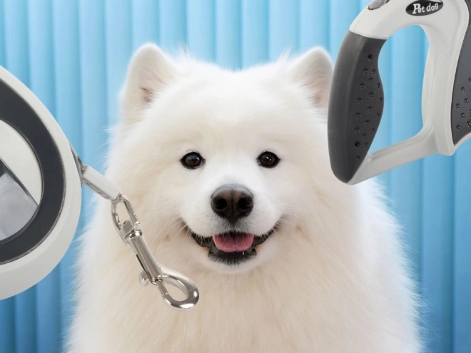 Lesă automată robustă 5m pentru câini până la 20 kg cu sistem de blocare