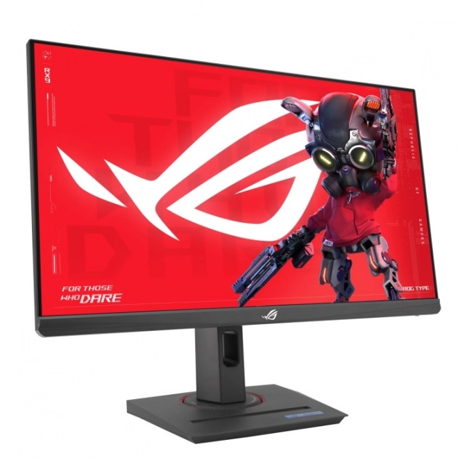 Monitor 25 inch FHD 144Hz HDMI USB-C PIVOT