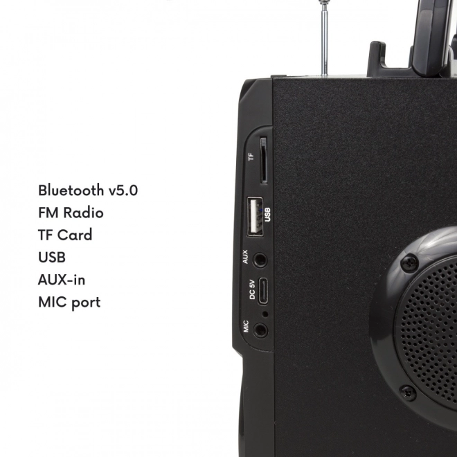 Boxă Bluetooth cu radio și USB Audiocore