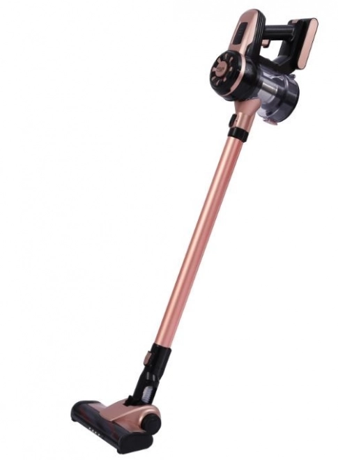 Aspirator portabil fără sac Adler