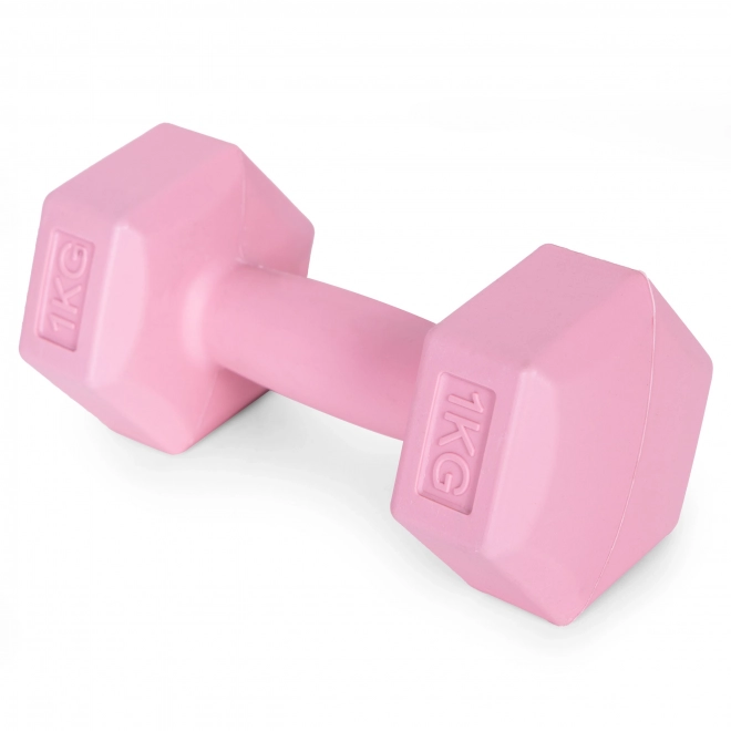 Gantere roz 2x1 kg ModernHome