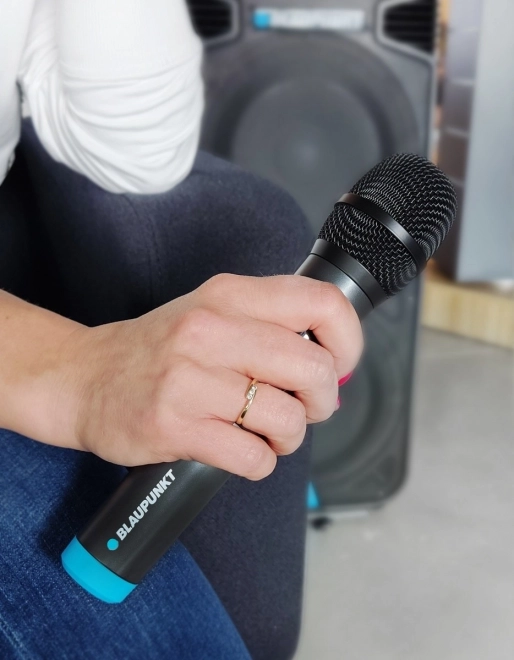 Mikrofon wireless UHF cu două canale