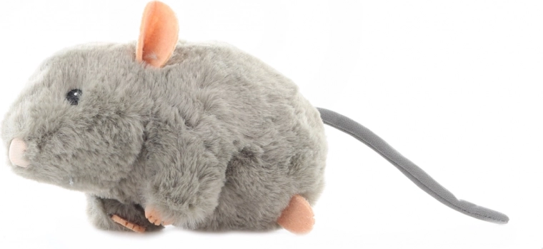 Detalii sigure pentru vârsta 0+