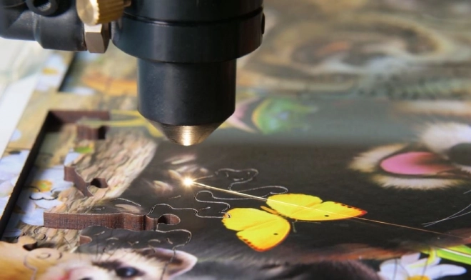 Puzzle din lemn Insula Papagalilor