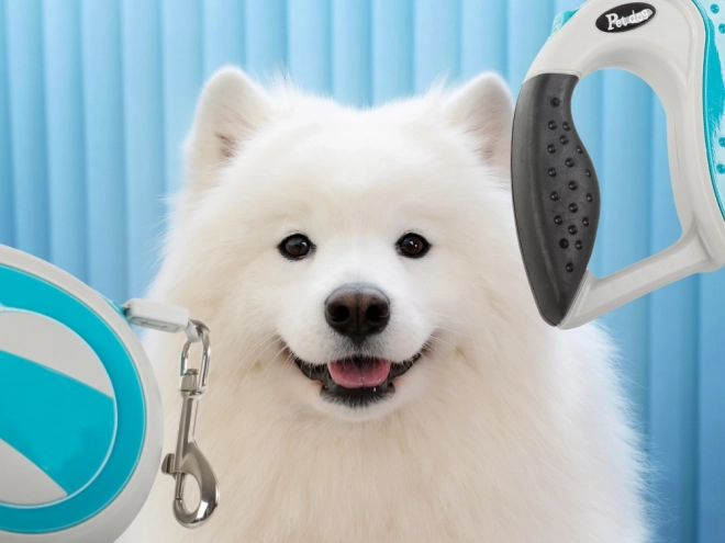 Lesa automată pentru câini, cu blocare, 5m, max 20kg