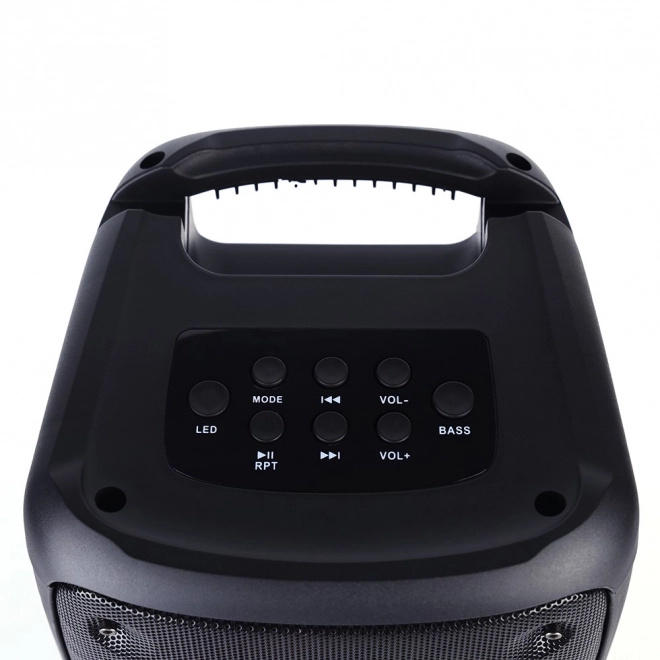 Box portabil cu bluetooth și karaoke