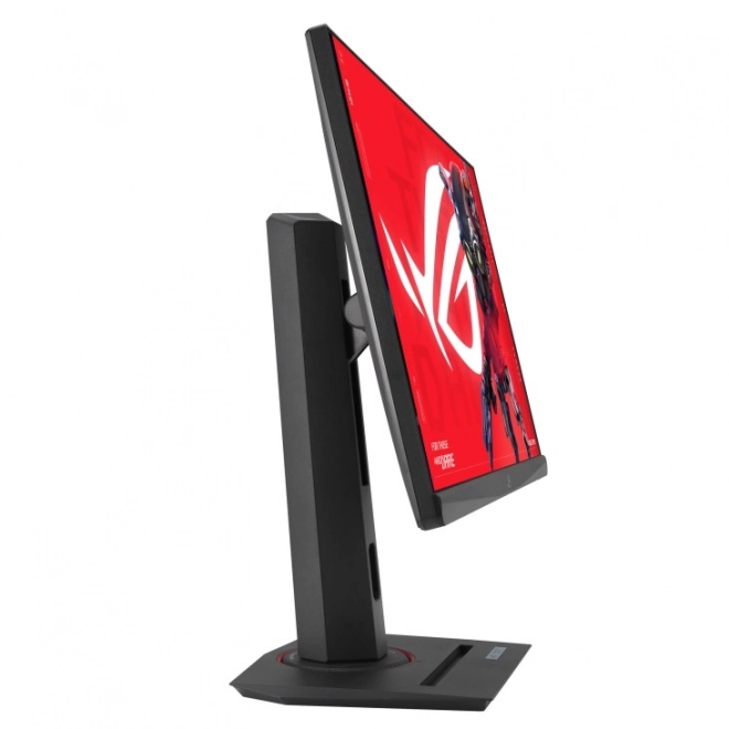 Monitor 25 inch FHD 144Hz HDMI USB-C PIVOT