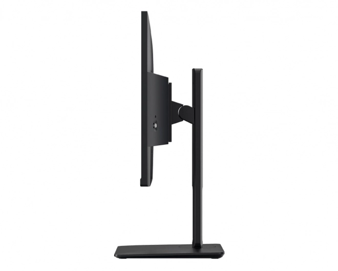 Monitor Pro 24,5 inch LED FHD Flat 100Hz Negru