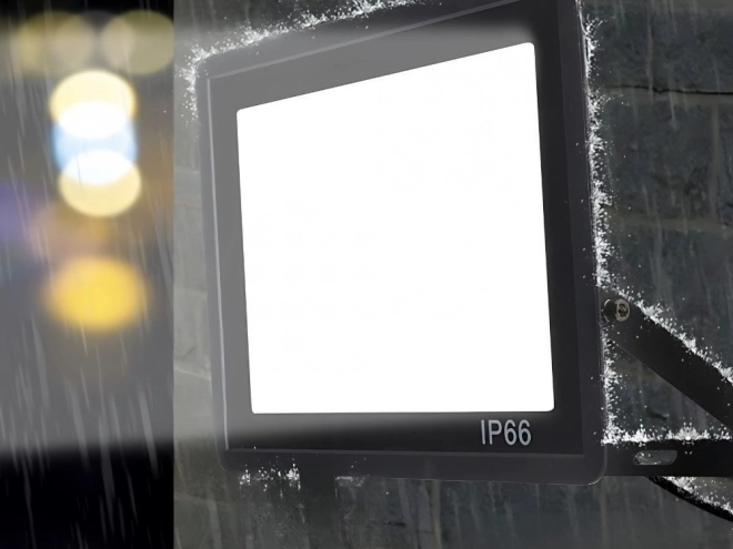 Reflector LED de exterior 100W 6000K IP66