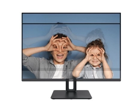 Monitor Pro 24,5 inch LED FHD Flat 100Hz Negru