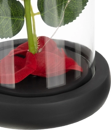 Frumusețe Durabilă