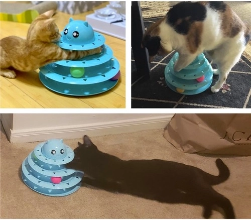 Trei niveluri de bucurie