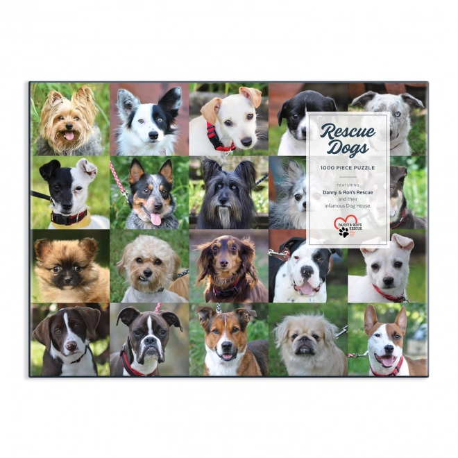Puzzle Galison Câini din adăpost 1000 piese