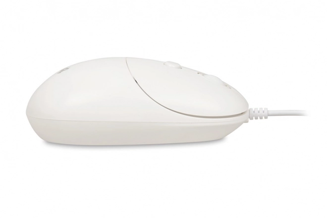 Mouse alb iBox Seagull