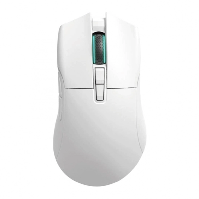 Mouse fără fir Darmoshark N3