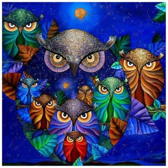 Pictură cu diamante 7D – bufnițe pe cerul nopții 30 × 40 cm