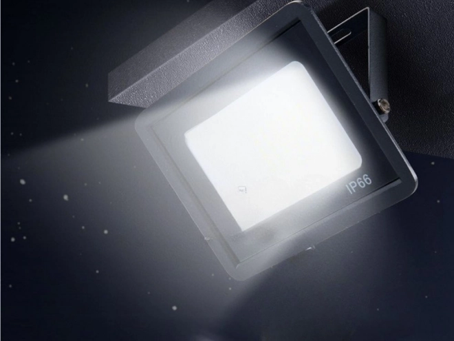 Reflector LED de exterior 100W 6000K IP66