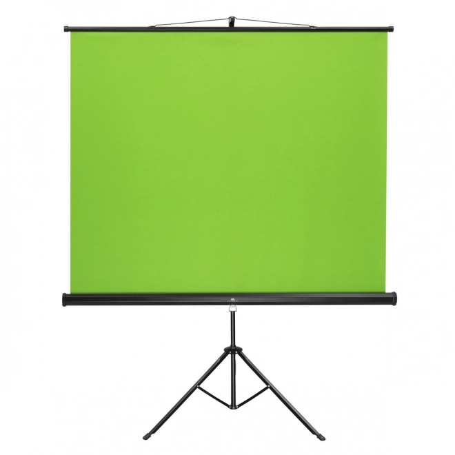 Ecran verde pe suport 92 inci MC-931