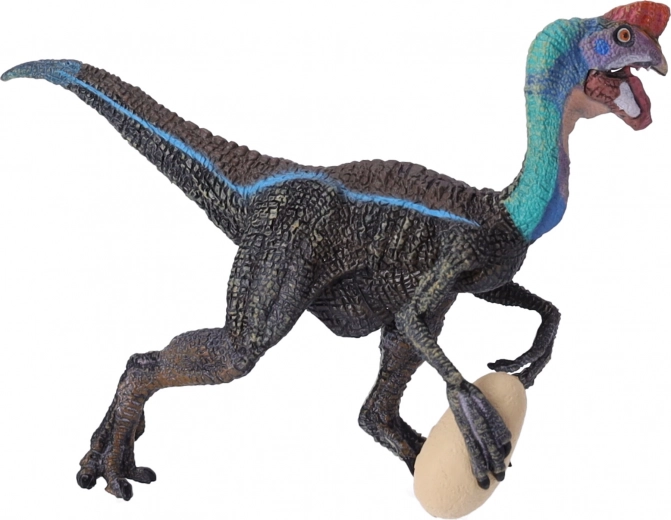 Ideală pentru învățare și pentru colecție