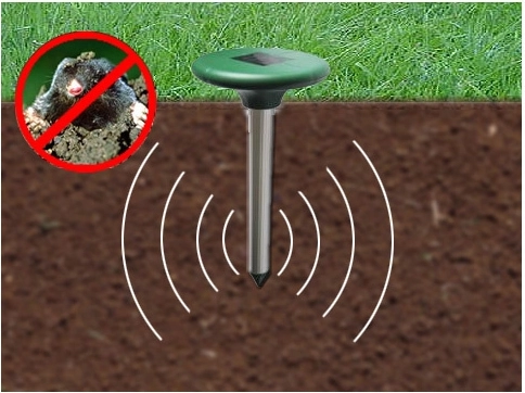 Frecvență variabilă și vibrații