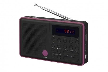 Radio portabil cu USB și FM negru