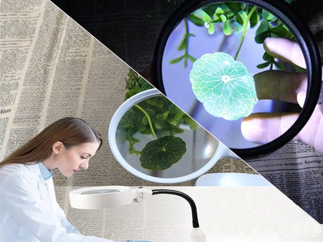 Lupă cosmetică cu iluminare LED