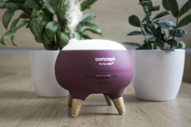 Difuzor de aromă Concept Perfect Air Berry