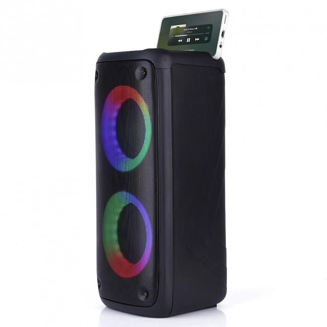 Box portabil cu bluetooth și karaoke