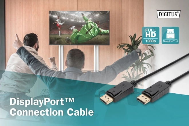 Cablu DisplayPort cu Zăvoare 10m Negru