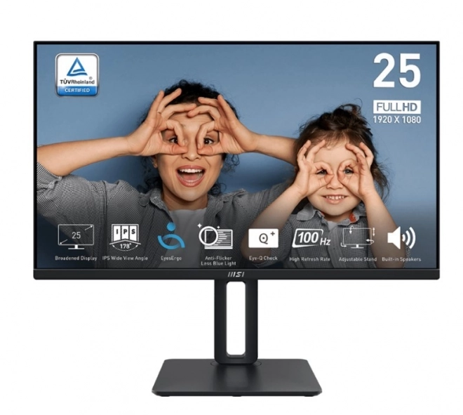 Monitor Pro 24,5 inch LED FHD Flat 100Hz Negru