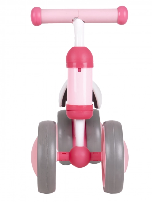 Bicicletă de echilibru mini Ecotoys