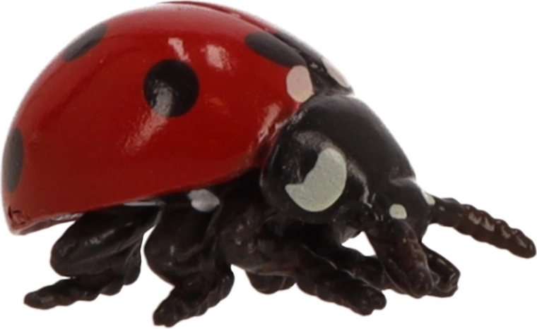 Dimensiuni mici, mari posibilități de joc