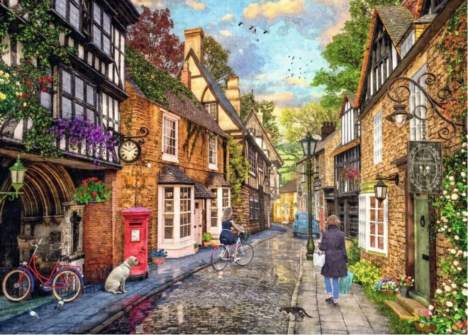 Puzzle Ravensburger aleea dealului Meadow 1000 piese