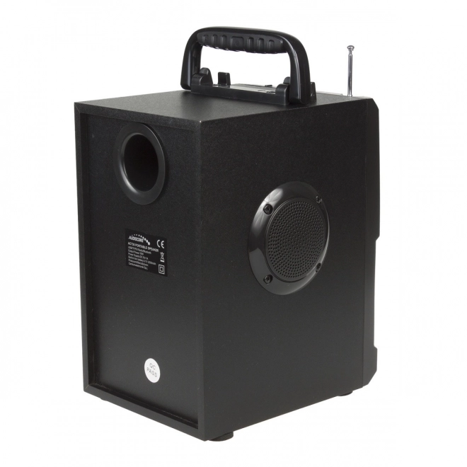 Boxă Bluetooth cu radio și USB Audiocore