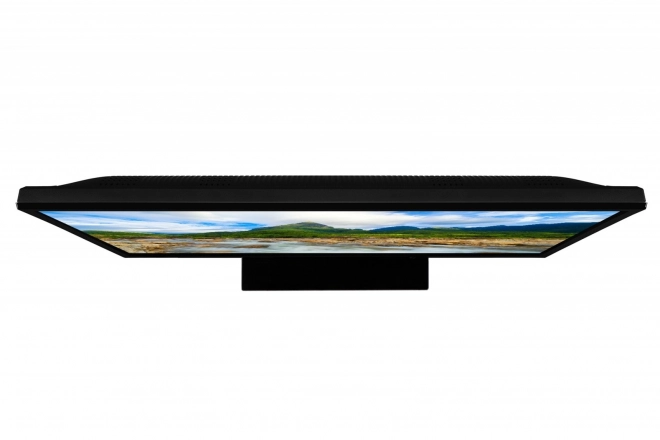 Televizor LED 24 inch