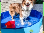Piscină pliabilă pentru câini 60 × 20 cm