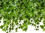 Ghirlandă iedera artificială 25,2m
